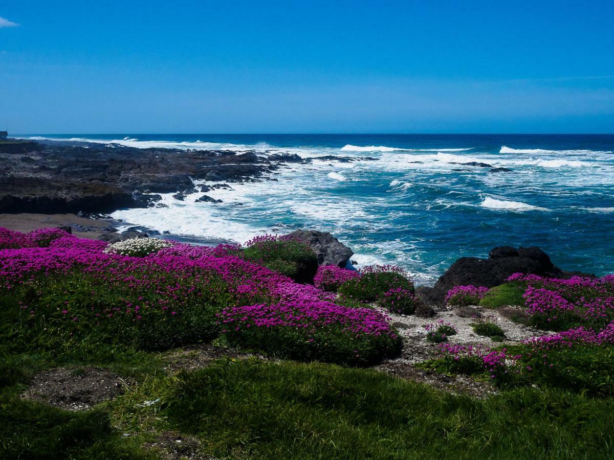 Overleaf Lodge And Spa Yachats Luaran gambar